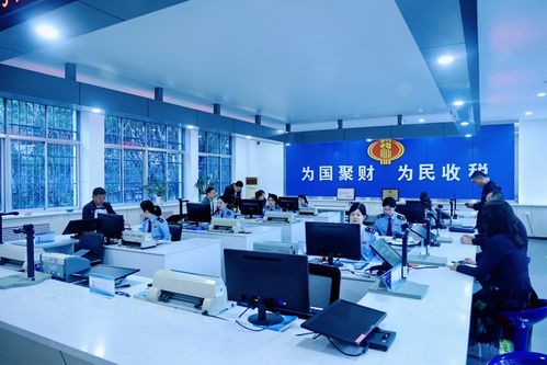 慶陽稅務(wù) 高效辦稅促發(fā)展，稅惠服務(wù)暖企心