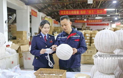 博白稅務 以“稅惠+服務”雙引擎，賦能企業揚帆向海圖強